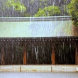 Meiji Jingu