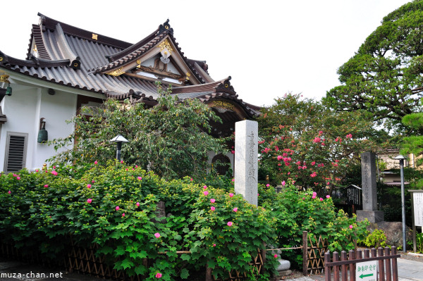 Myoryuji Temple Kamakura Myoryuji Temple Kamakura