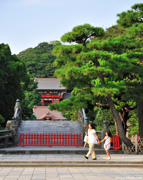 Tsurugaoka_Hachimangu Shrine Kamakura Tsurugaoka_Hachimangu Shrine Kamakura