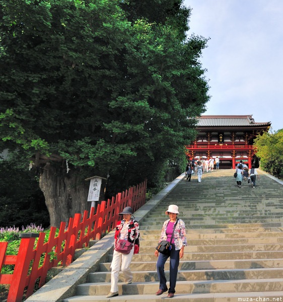 Tsurugaoka Hachimangu Shrine Kamakura Tsurugaoka Hachimangu Shrine Kamakura