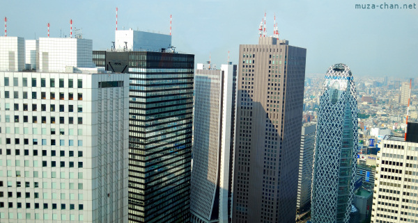 View from Tokyo Metropolitan Building View from Tokyo Metropolitan Building