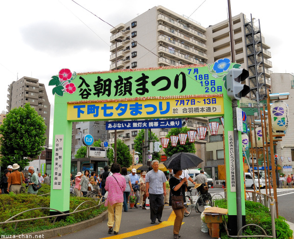 Iriya Asagao Ichi (Morning Glory Fair) Iriya Asagao Ichi (Morning Glory Fair)