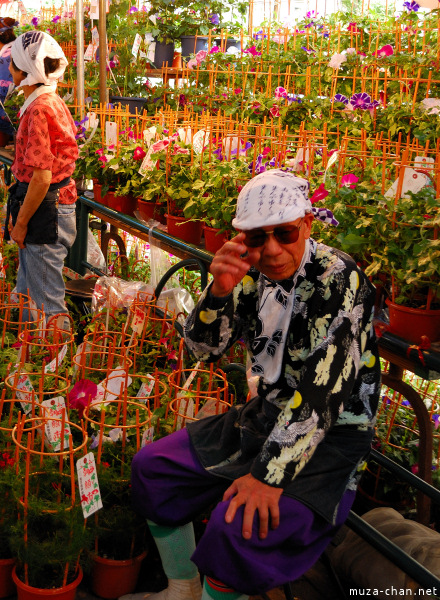 Iriya Asagao Ichi (Morning Glory Fair) Iriya Asagao Ichi (Morning Glory Fair)
