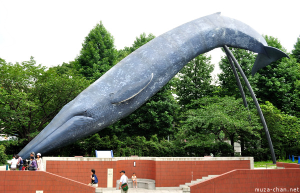 Life-size Blue Whale Sculpture, National Museum Of Nature and Science Life-size Blue Whale Sculpture, National Museum Of Nature and Science