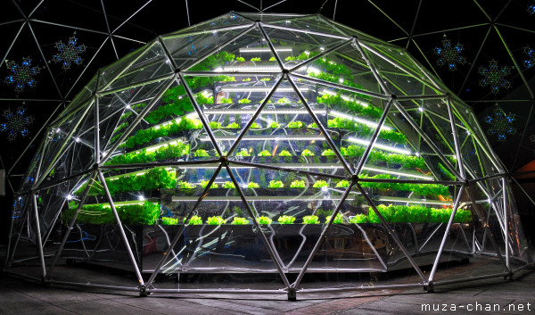Hydroponic garden Green Sphere, Tokyo Dome, Tokyo Hydroponic garden Green Sphere, Tokyo Dome, Tokyo