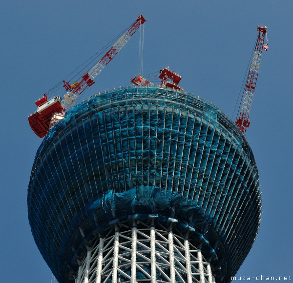 Tokyo Sky Tree