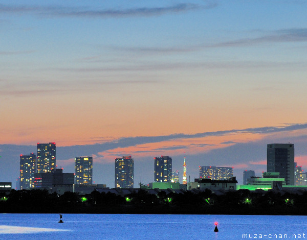 Tokyo Tower, View from Kasai Rinkai Park