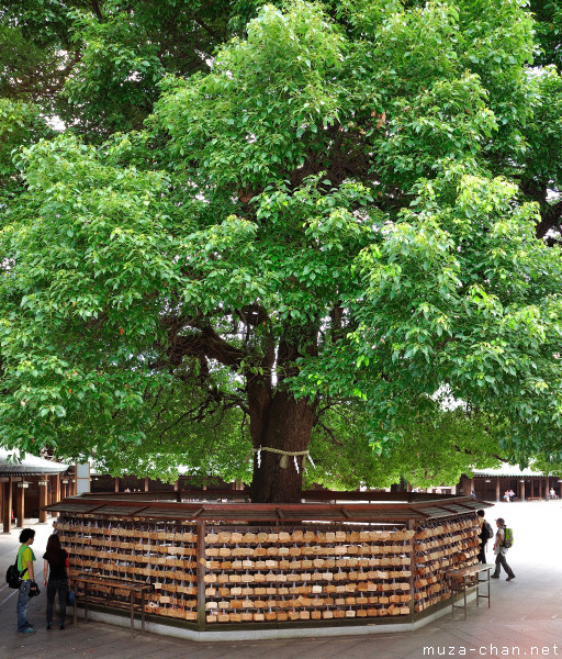 Ema, Meiji Jingu, Shibuya, Tokyo