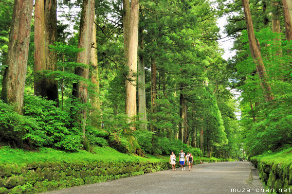 Cedar Alley, Nikko Cedar Alley, Nikko