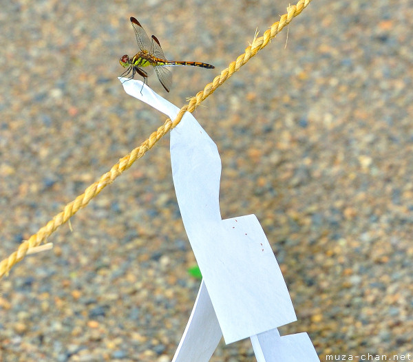 Japanese Dragonfly Japanese Dragonfly