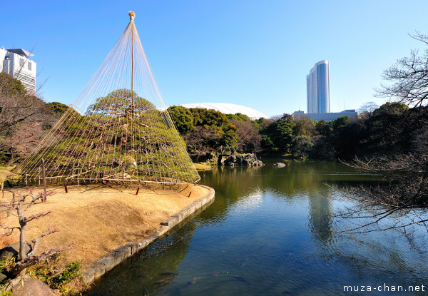 Koishikawa Kōrakuen Garden, Hitotsu-matsu Pine Tree, Tokyo Koishikawa Kōrakuen Garden, Hitotsu-matsu Pine Tree, Tokyo