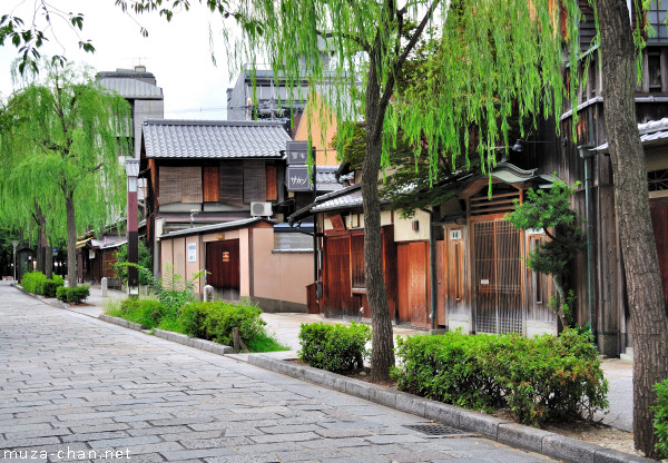 Shirakawa-minami-dori, Kyoto Shirakawa-minami-dori, Kyoto
