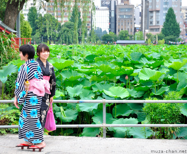 Shinobazu Pond, Ueno, Tokyo Shinobazu Pond, Ueno, Tokyo