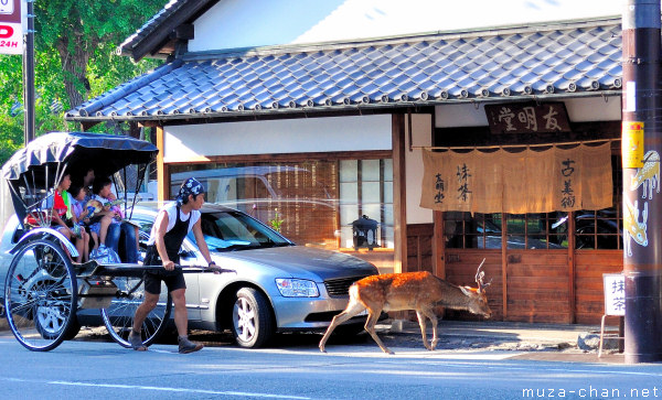 Nara Nara