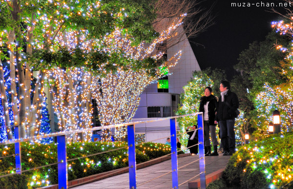 Shinjuku Southern Lights, Shinjuku, Tokyo Shinjuku Southern Lights, Shinjuku, Tokyo
