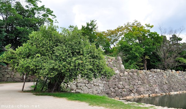 A-bombed willow tree, Hiroshima Castle, Hiroshima A-bombed willow tree, Hiroshima Castle, Hiroshima