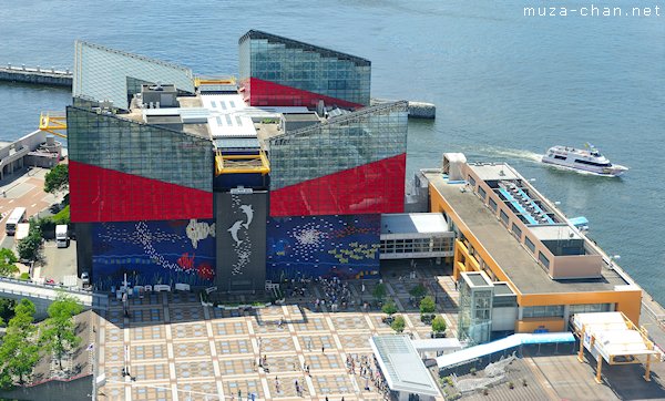 Kaiyukan Aquarium, Osaka