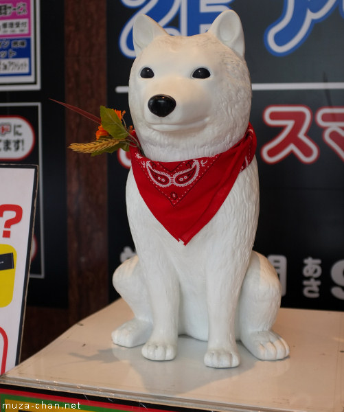 Otosan, SoftBank's dog Otosan, SoftBank's dog