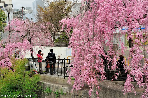 Sanjo Ohashi, Kyoto