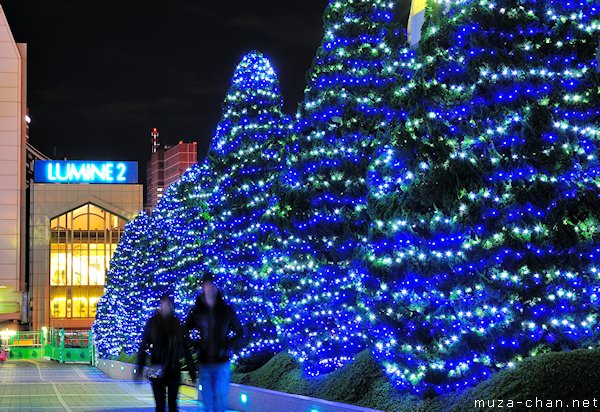 Shinjuku Southern Terrace Winter Illumination, Tokyo Shinjuku Southern Terrace Winter Illumination, Tokyo