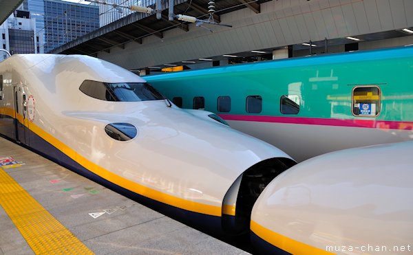 Shinkansen E4-series, Tokyo Station Shinkansen E4-series, Tokyo Station