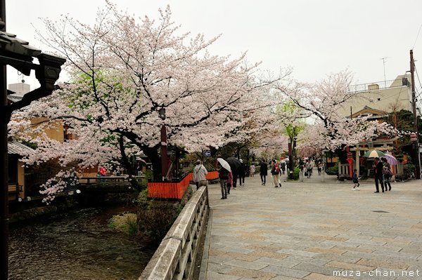Shirakawa-dori, Gion, Kyoto Shirakawa-dori, Gion, Kyoto