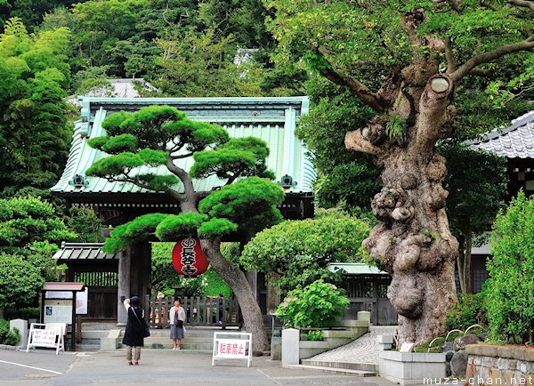 Hasedera Temple, Kamakura