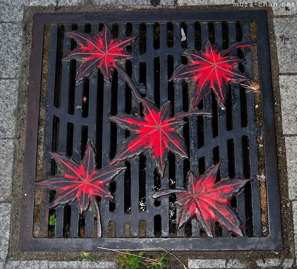Momiji Manhole Cover, Takao Momiji Manhole Cover, Takao