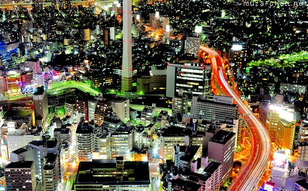 View from Sunshine 60, Ikebukuro, Tokyo