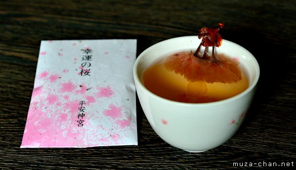 Sakura tea, Heian Jingu Sakura tea, Heian Jingu