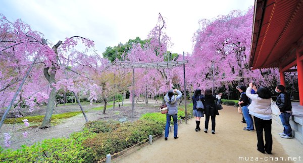 Higashi Shin'en (East Garden), Heian Shrine, Kyoto