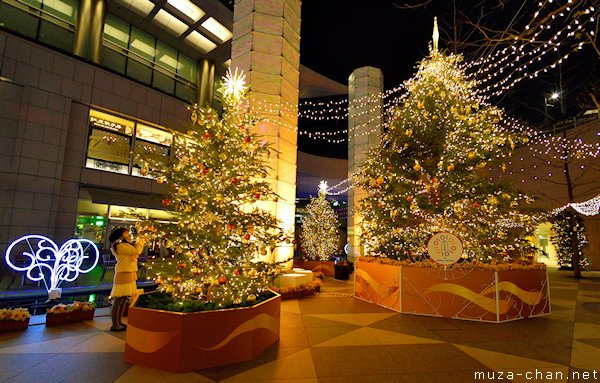 Shiodome Christmas Trees, Minato, Tokyo Shiodome Christmas Trees, Minato, Tokyo