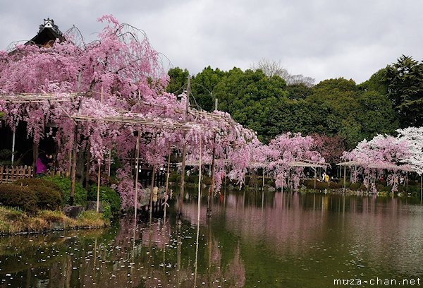 Higashi Shin'en (East Garden), Heian Shrine, Kyoto Higashi Shin'en (East Garden), Heian Shrine, Kyoto
