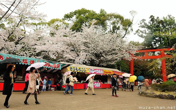 Maruyama Park, Kyoto