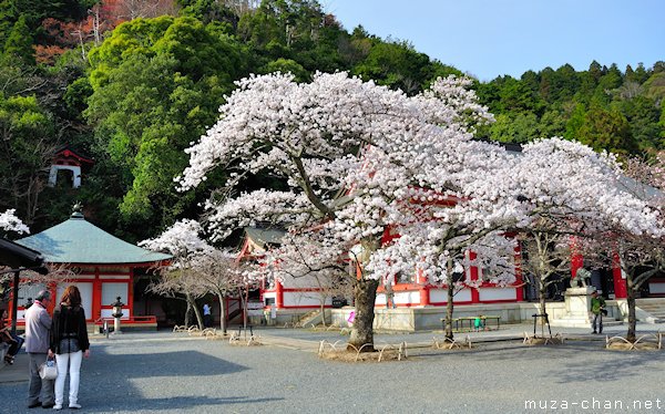 Kurama-dera, Kyoto