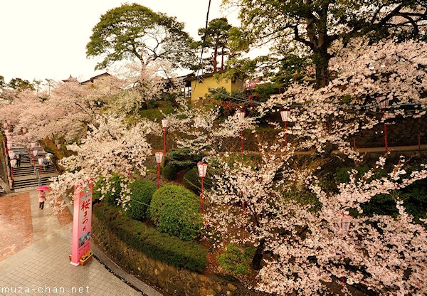 Maruoka Castle, Fukui