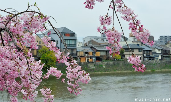 Kamo River, Kyoto Kamo River, Kyoto