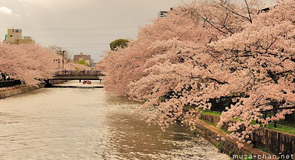 Okazaki Canal, Kyoto