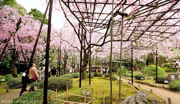 Higashi Shin'en (East Garden), Heian Shrine, Kyoto
