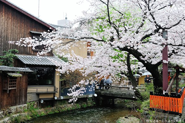 Shirakawa-dori, Gion, Kyoto