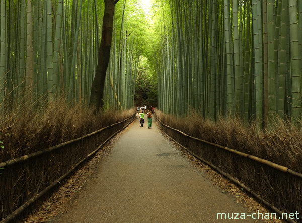 Bamboo groves, Arashiyama