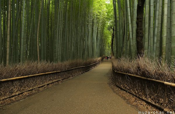 Bamboo groves, Arashiyama