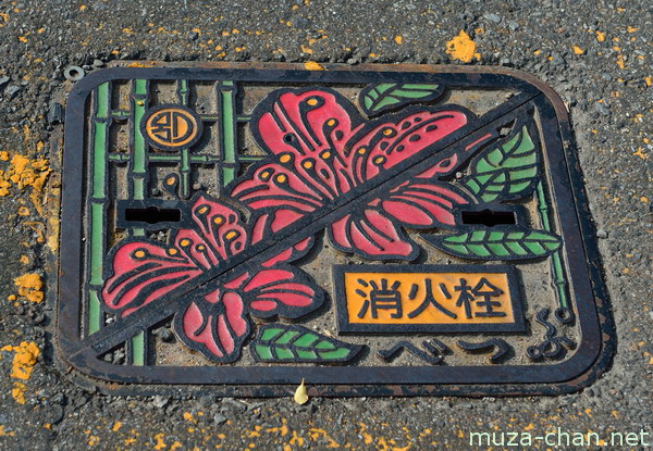 Manhole Cover, Beppu, Oita Manhole Cover, Beppu, Oita