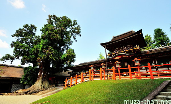 Kasuga Taisha Shrine, Nara