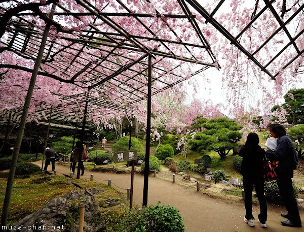 Higashi Shin'en (East Garden), Heian Shrine, Kyoto