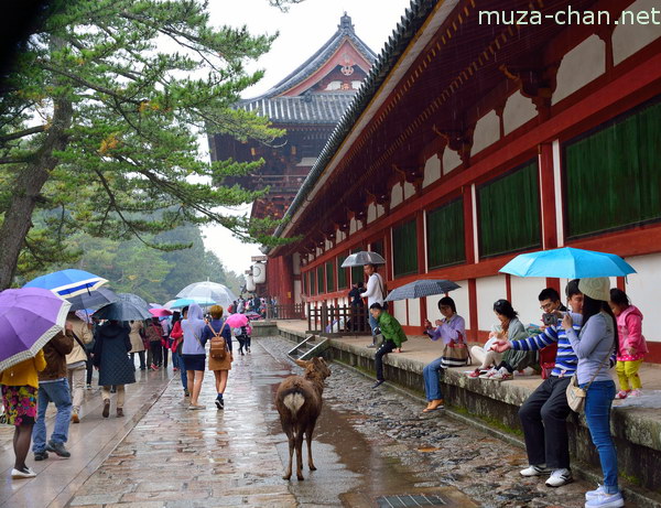 Chumon Gate, Todaiji Temple, Nara Chumon Gate, Todaiji Temple, Nara