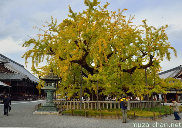Nishi Hongan-ji, Kyoto
