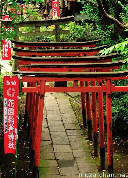 Hanazono Inari Shrine, Ueno, Tokyo Hanazono Inari Shrine, Ueno, Tokyo