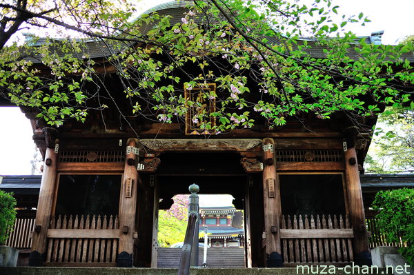 Tokyo Daibutsu, Jourenji Temple, Itabashi, Tokyo Tokyo Daibutsu, Jourenji Temple, Itabashi, Tokyo