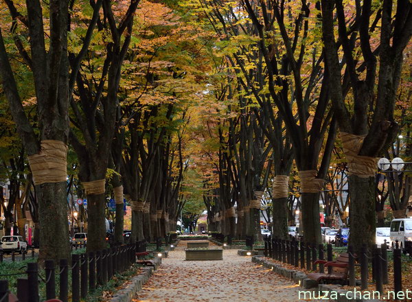 Jozenji-dori, Sendai, Miyagi Jozenji-dori, Sendai, Miyagi